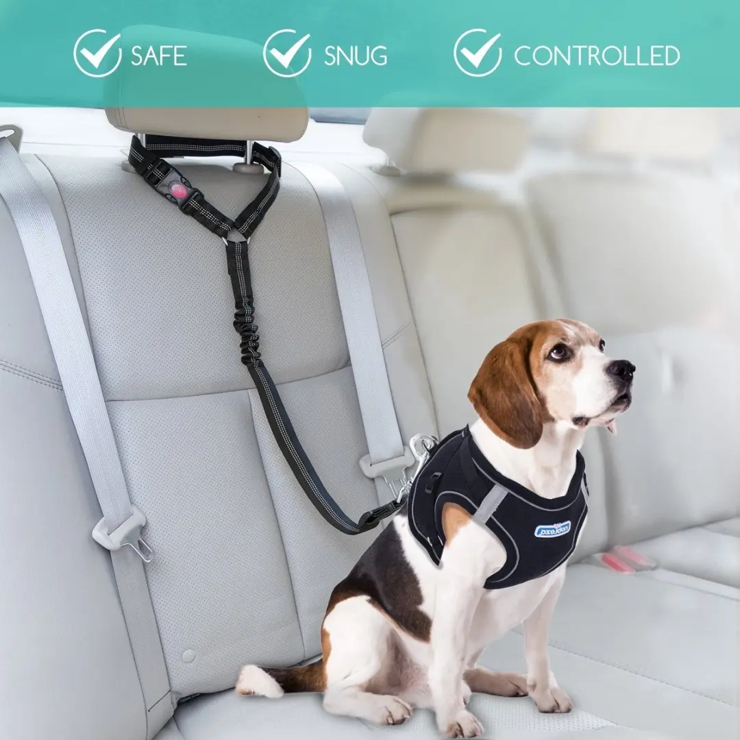 Nobleza Autogordel voor Honden - Hoofdsteunbevestiging - Zwart