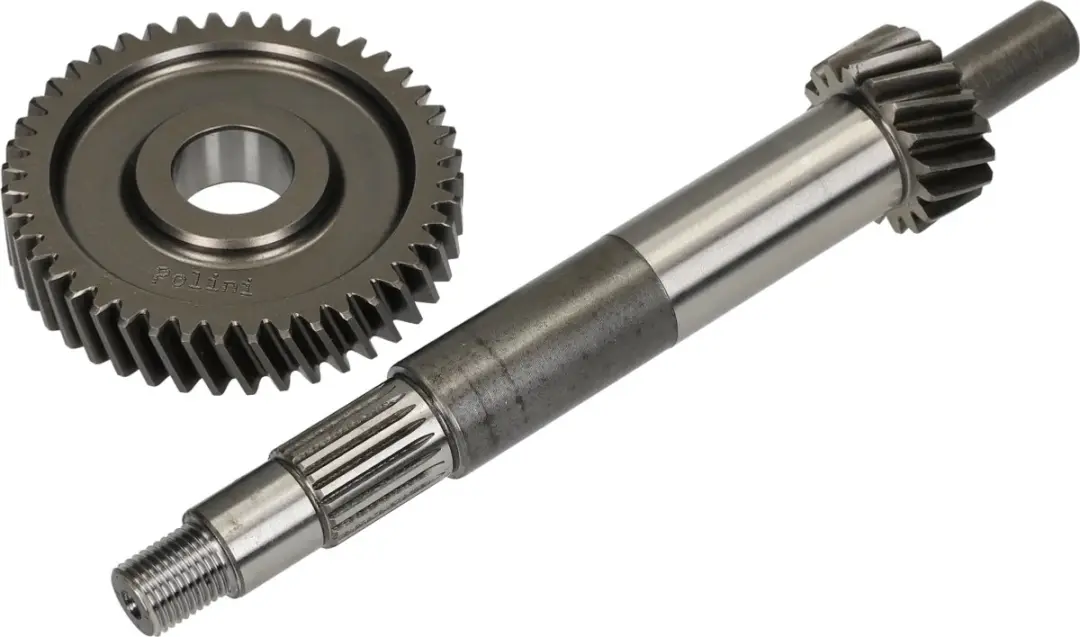 Polini vertanding primair 17/44 voor Piaggio 125-150cc (o.a Skipper)