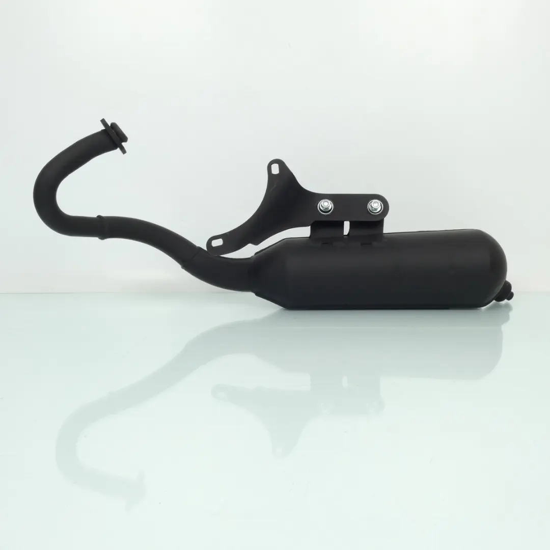 Pot Malossi Wild Lion pour scooter Piaggio 50 Typhoon 2T Euro4 Après 2018 Neuf
