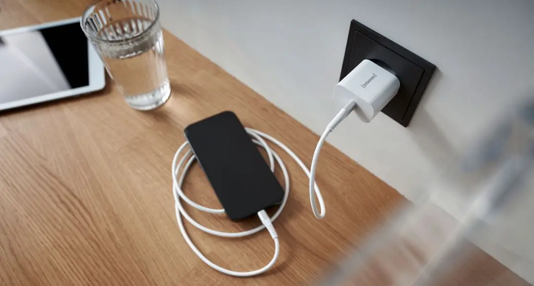 Intenso W20C 20W USB-C Lichtnetadapter - Wit