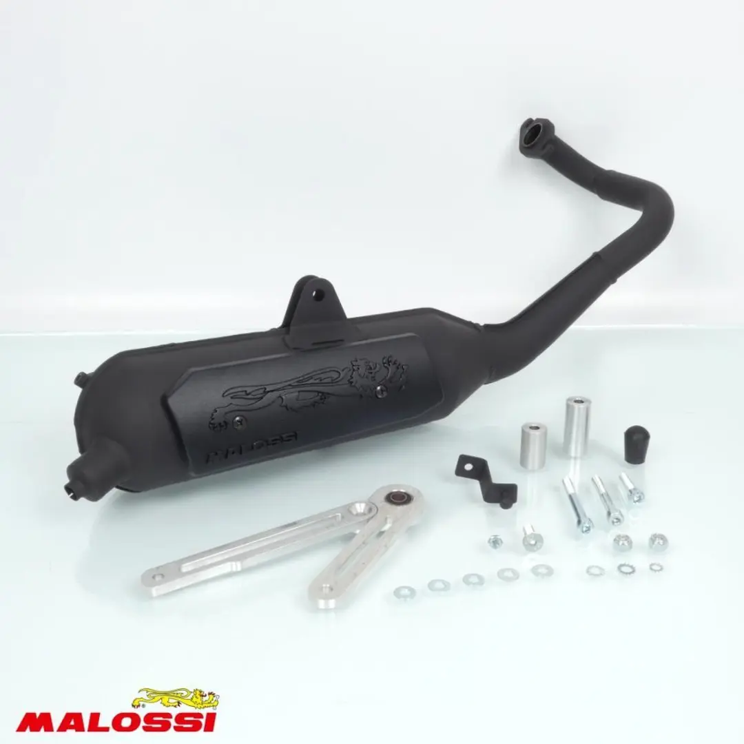 Malossi uitlaatdemper voor Kymco 50 Agility R16 2T 2000 3216593 / Wild Lion Gloe