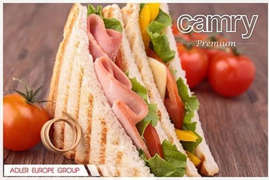 Camry CR 3018 Tostiapparaat 700W - 2 Platen - 4 Sandwiches - Zilverkleurig - afbeelding 5 van 6