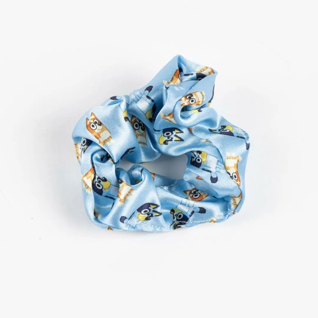 Bluey Haaraccessoires - 5 Stuks Blauw/Rozem - afbeelding 3 van 6