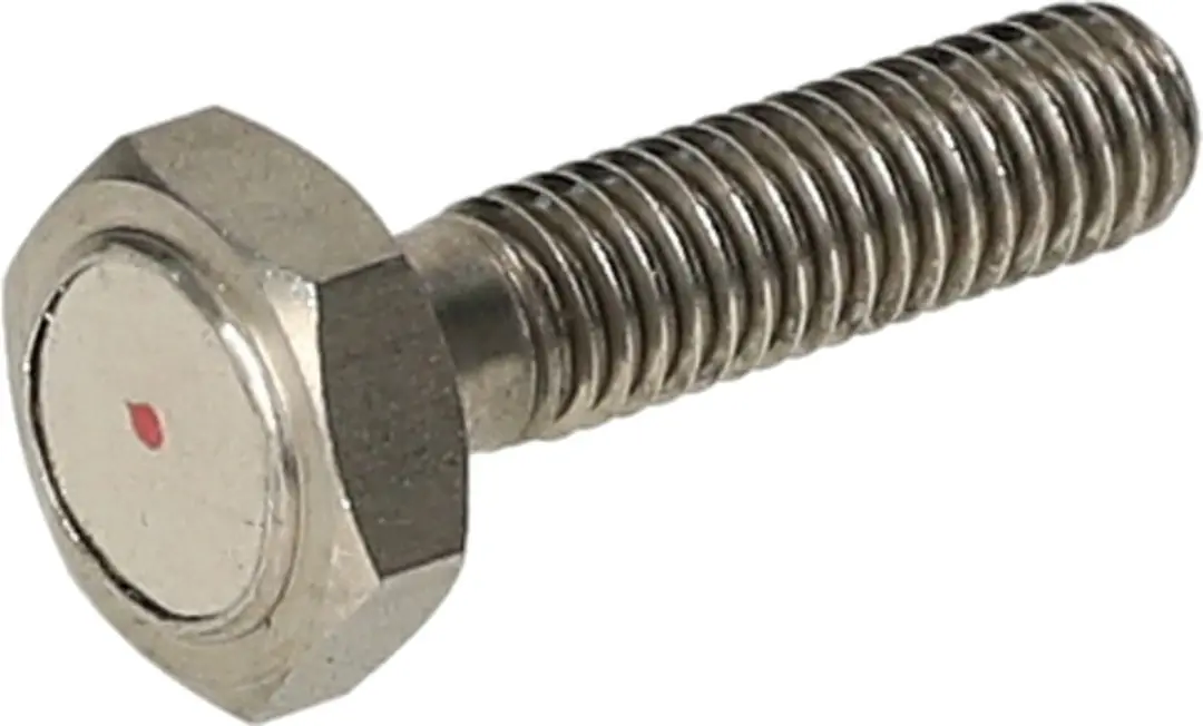 Remschijfbout magneet Koso M6x1.0 Lengte 24mm