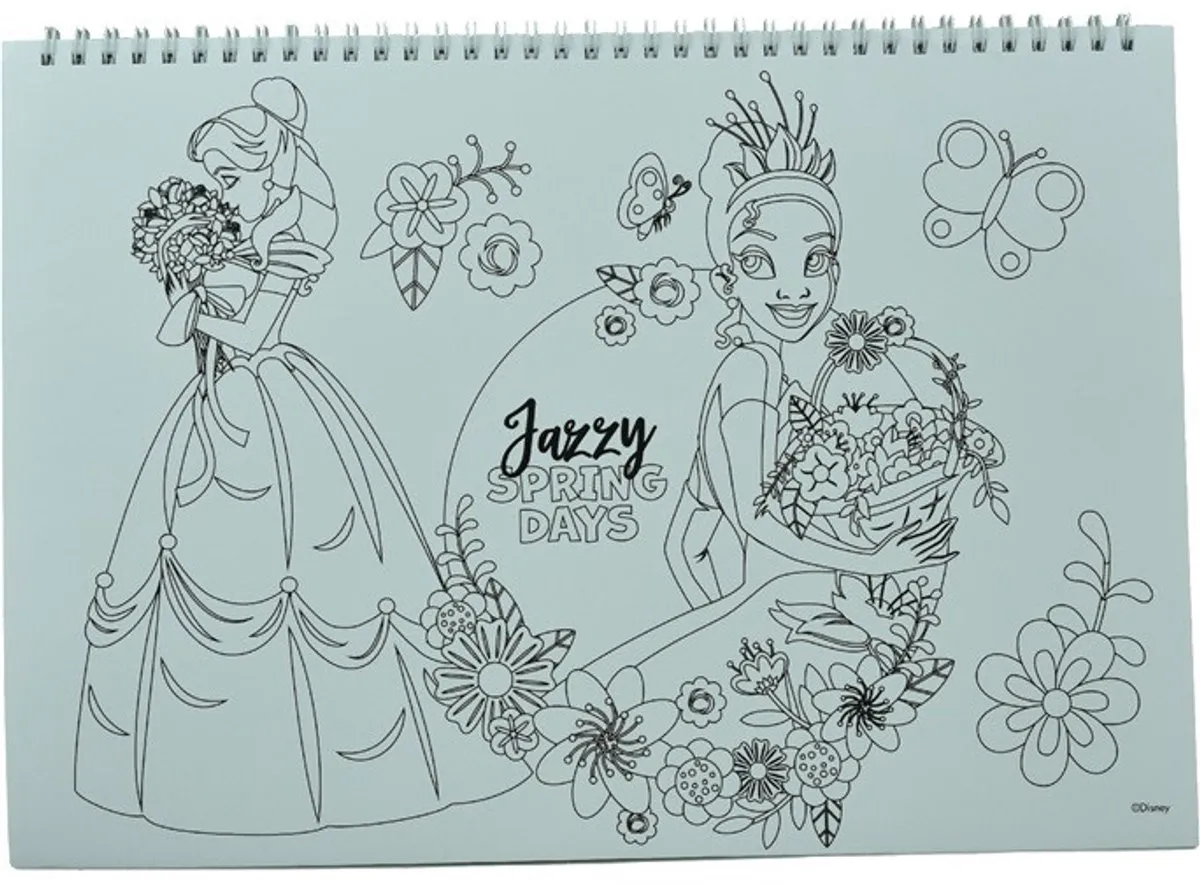 Disney Princess Spiraalschetsboek - 40 Vel Multi