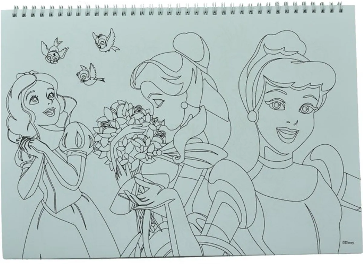 Disney Princess Spiraalschetsboek - 40 Vel Multi