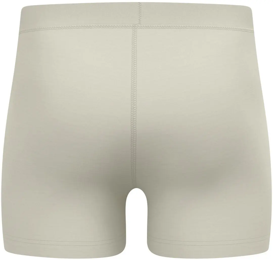 ODLO Merino 160 Boxers - Agate Gray
