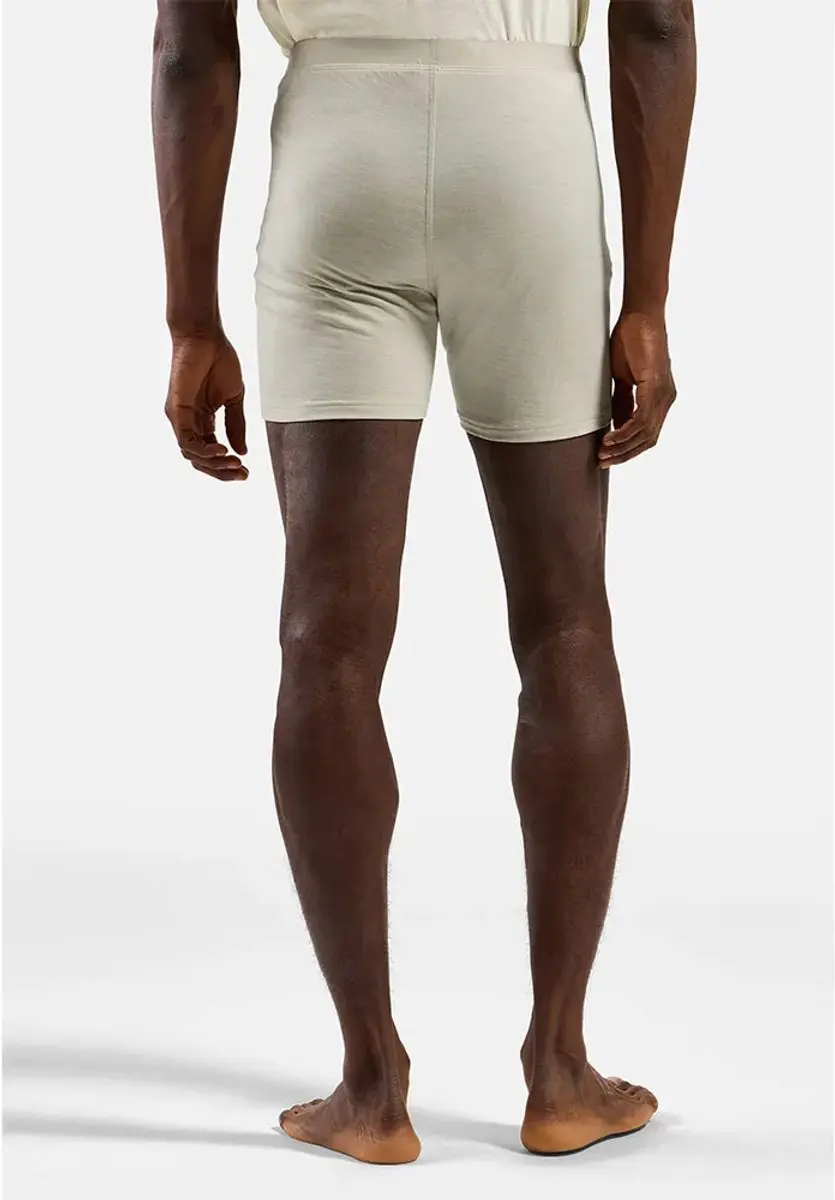 ODLO Merino 160 Boxers - Agate Gray