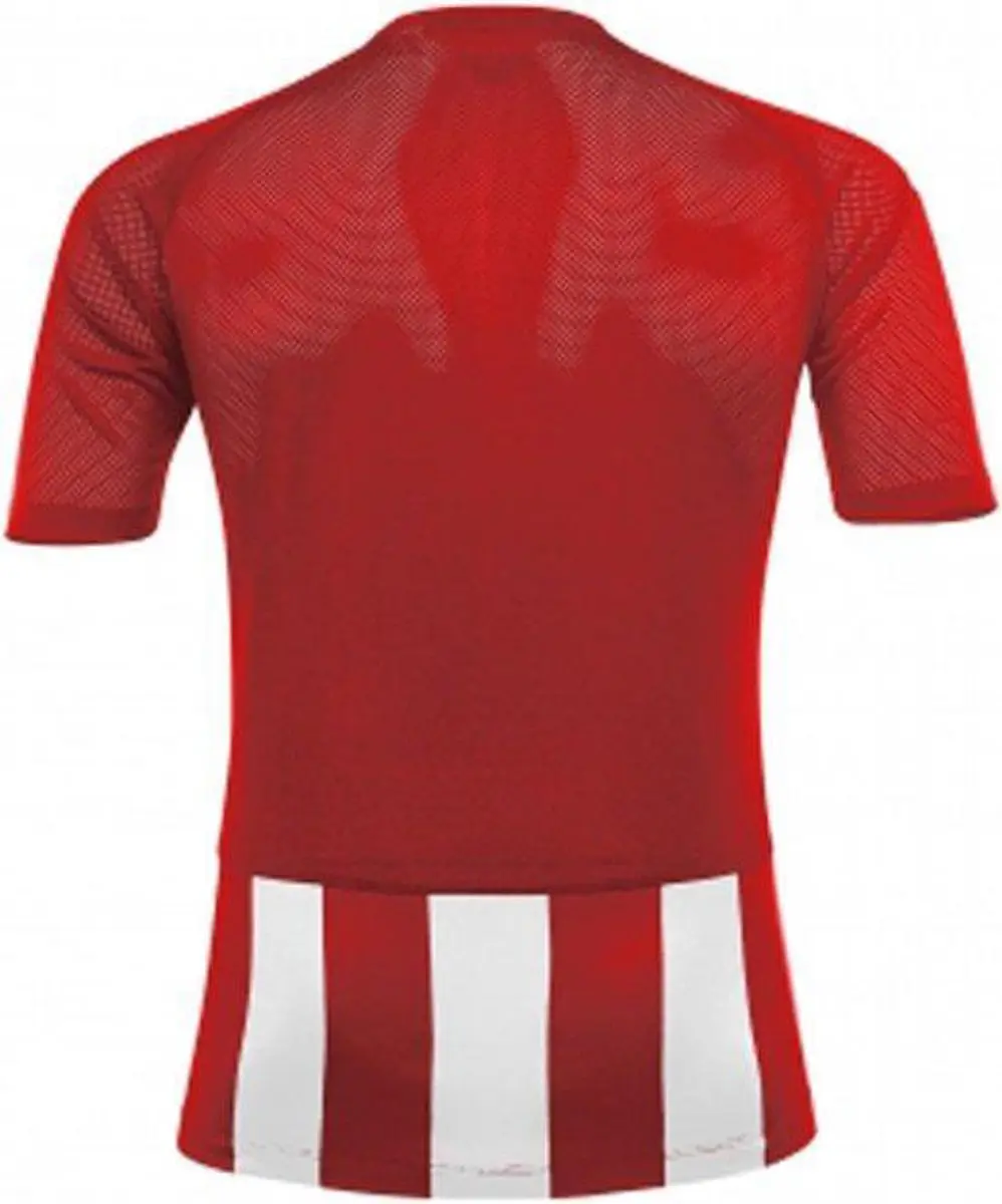 Acerbis Sports Johan Striped Jersey - Rood/Wit S