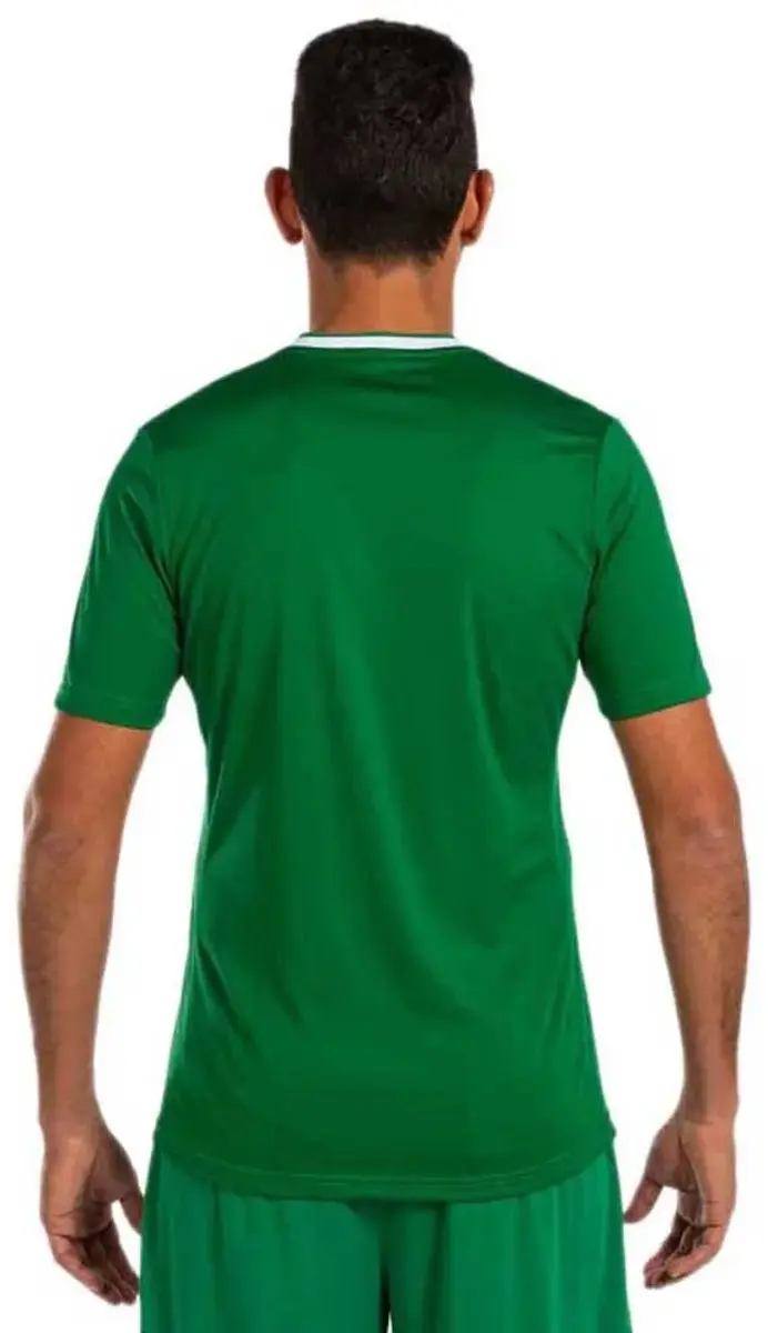 Joma Europa V T-shirt M - Groen/Wit