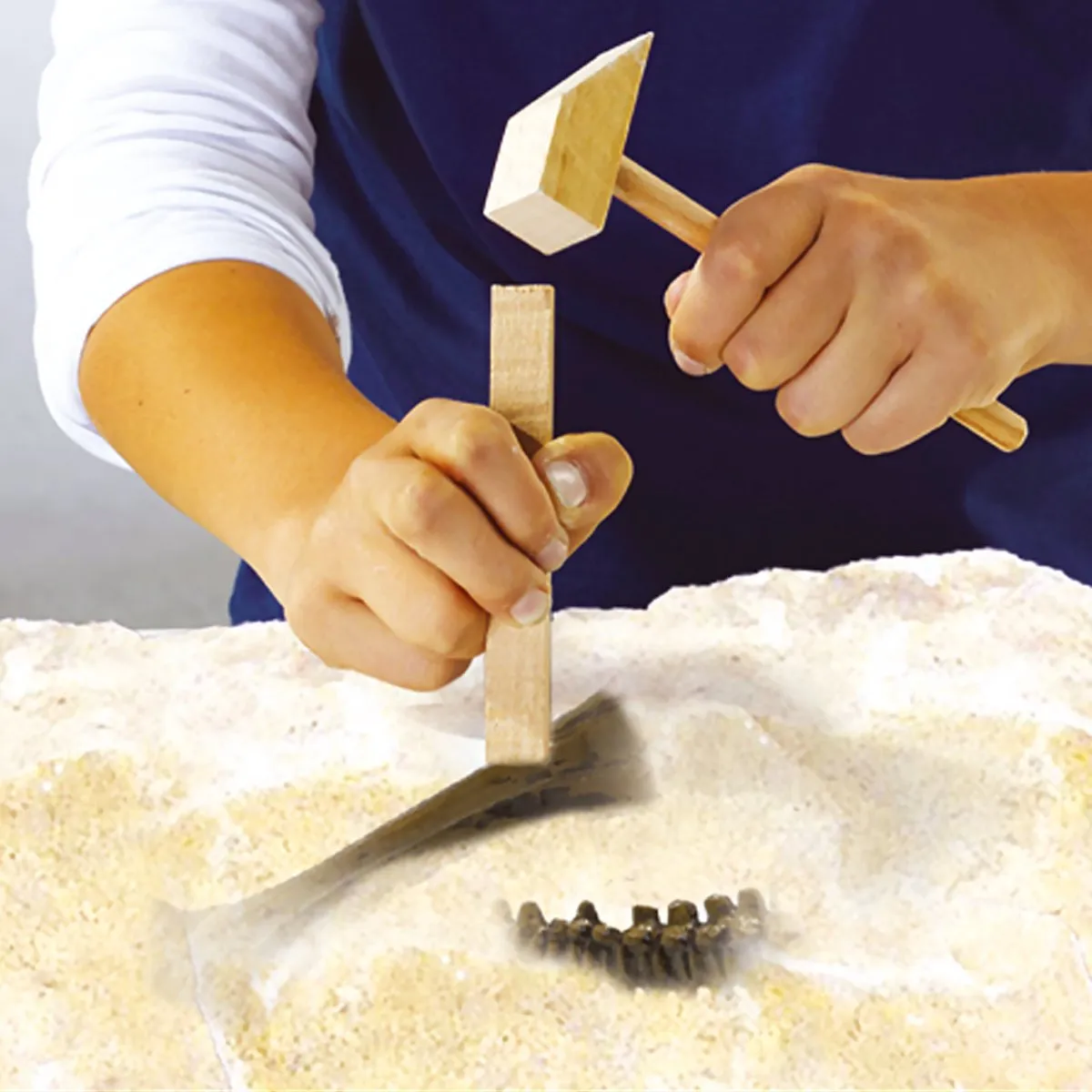 SES Creative Explore Dino en Skelet Opgraven 2-in-1 T-rex