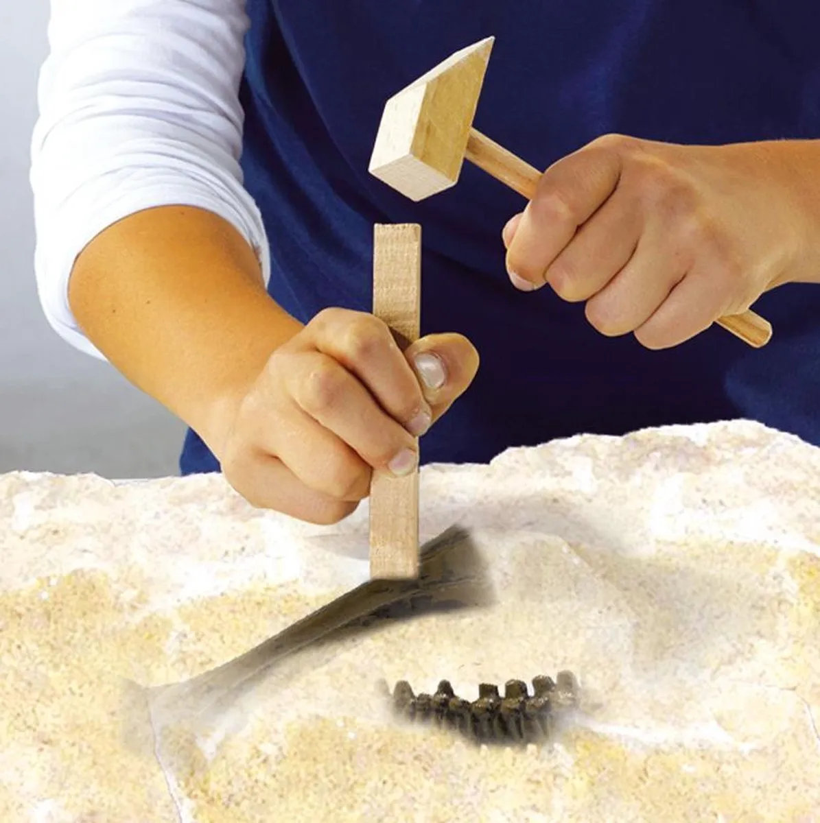 SES Creative Explore Dino en Skelet Opgraven 2-in-1 T-rex