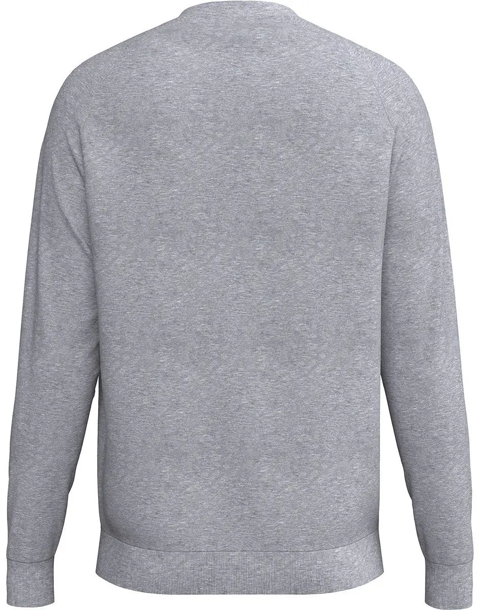 Erima Cmpt Wings Heren Sweatshirt - Grijs Melange