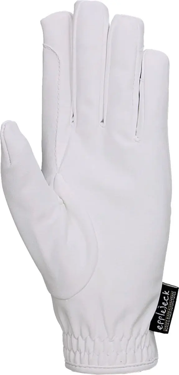 Epplejeck Hibernus Handschoenen - Wit S