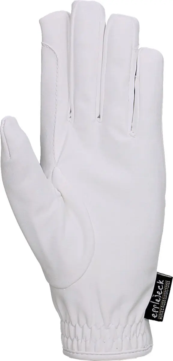 Epplejeck Hibernus Handschoenen - Wit S