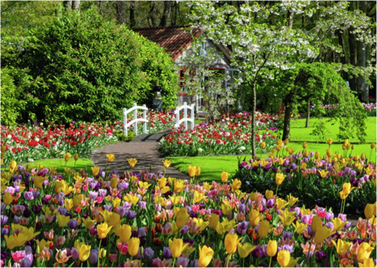 Ravensburger Keukenhof Gardens Legpuzzel 1000 Stuks - Multicolor