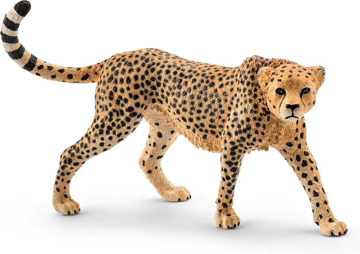 Schleich Safari Luipaard 14746