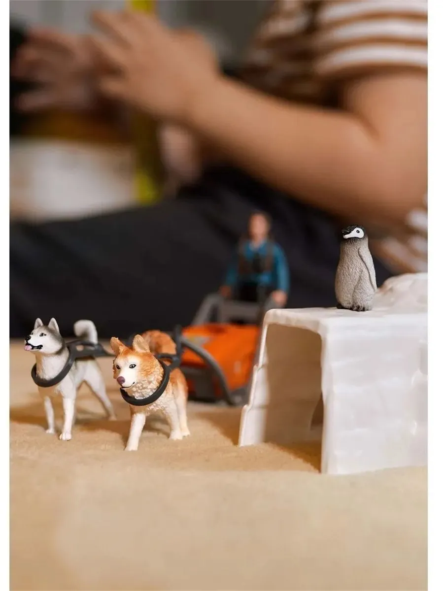 Schleich WILD LIFE Antarctic Expedition Speelfigurenset 42624 - Multikleuren