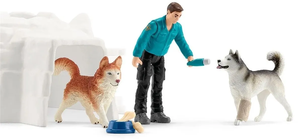 Schleich WILD LIFE Antarctic Expedition Speelfigurenset 42624 - Multikleuren