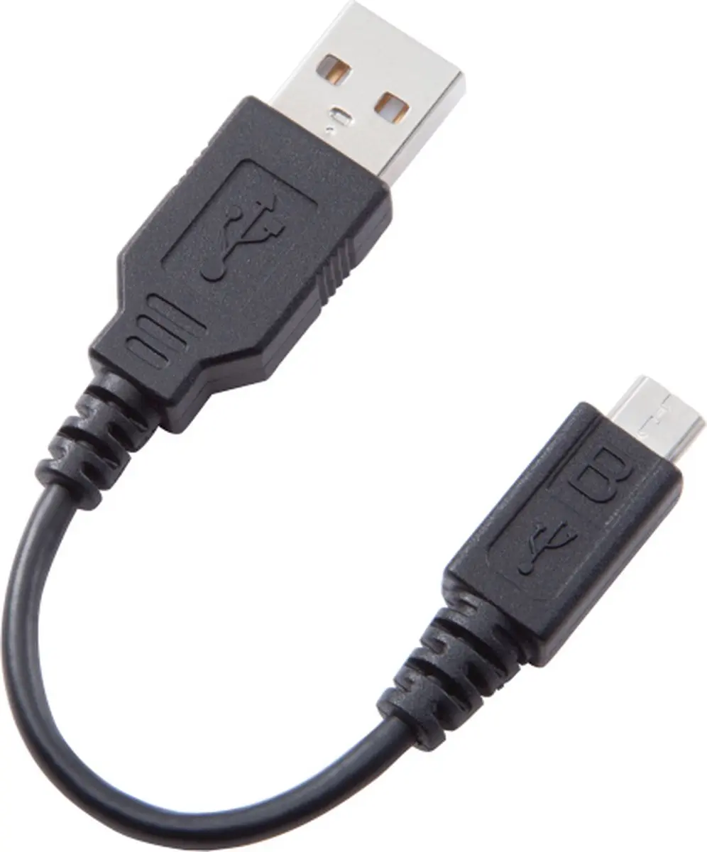OM SYSTEM VN-541PC Recorder - 4GB - Zwart