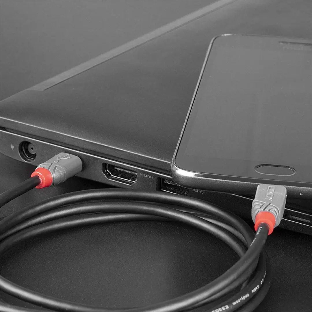 Lindy 36892 USB-kabel USB-C naar Micro-B 2.0m - Zwart/Grijs