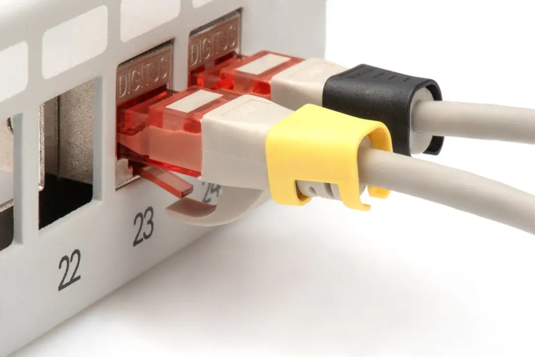 Digitus A-CC-M Kleurcoderingsclip - 100 Stuks - Meerkleurig