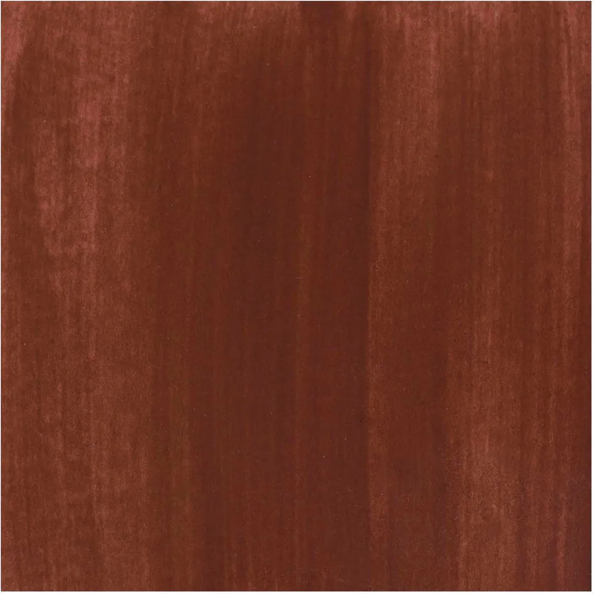 BRUYNZEEL Ecola Plakkaatverf Brown 16ml
