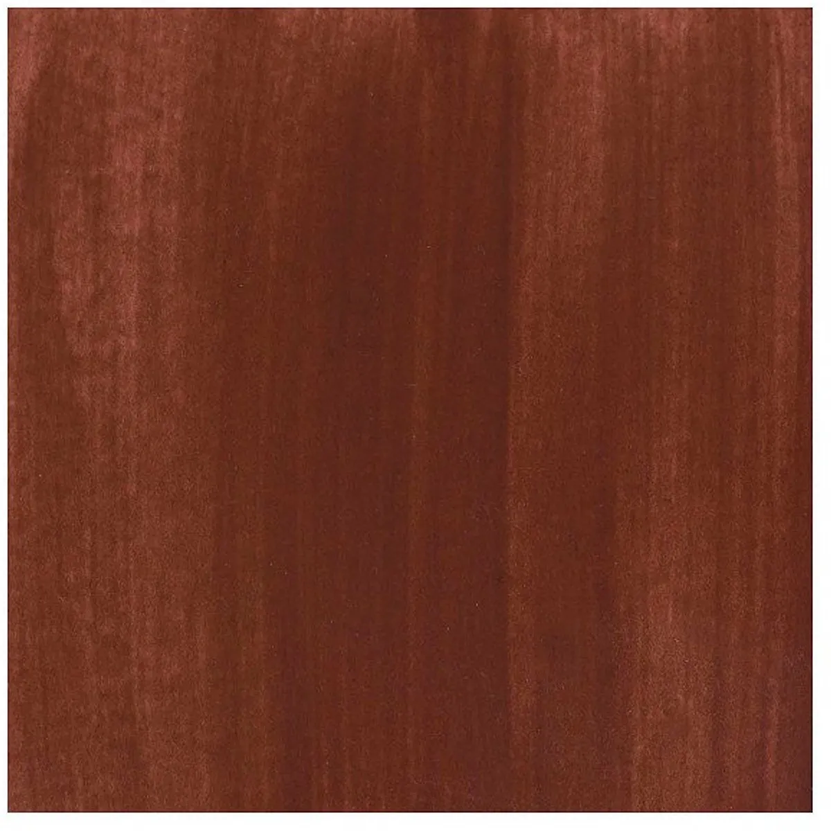 BRUYNZEEL Ecola Plakkaatverf Brown 16ml