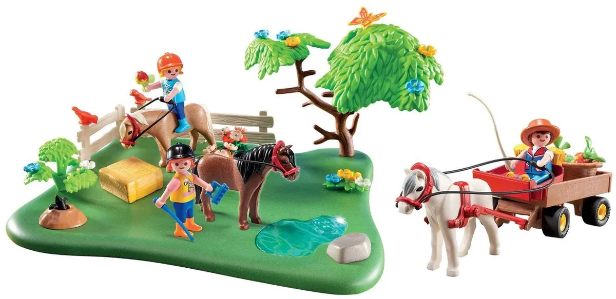 Playmobil Jubileum Ponyweide Compact Set 5457 - Meerkleurig