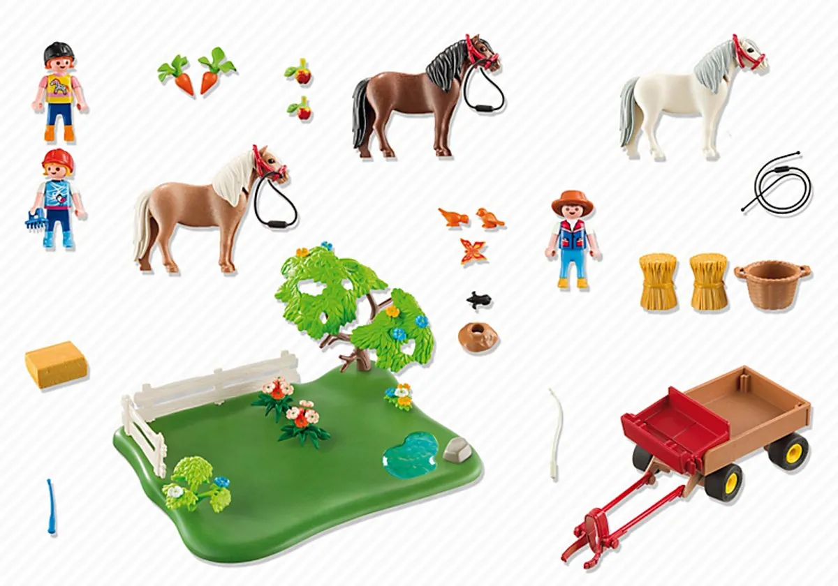 Playmobil Jubileum Ponyweide Compact Set 5457 - Meerkleurig
