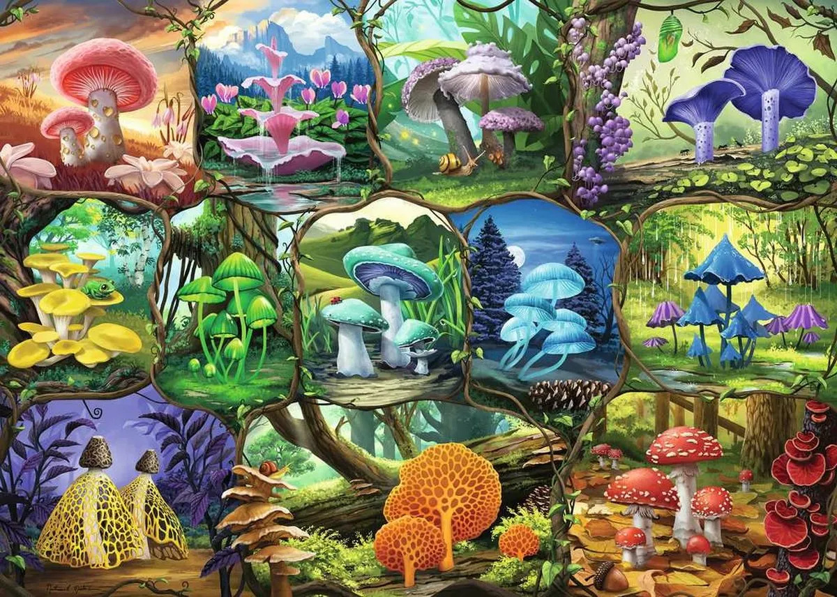 Ravensburger Prachtige Paddenstoelen Puzzel 1000 Stuks