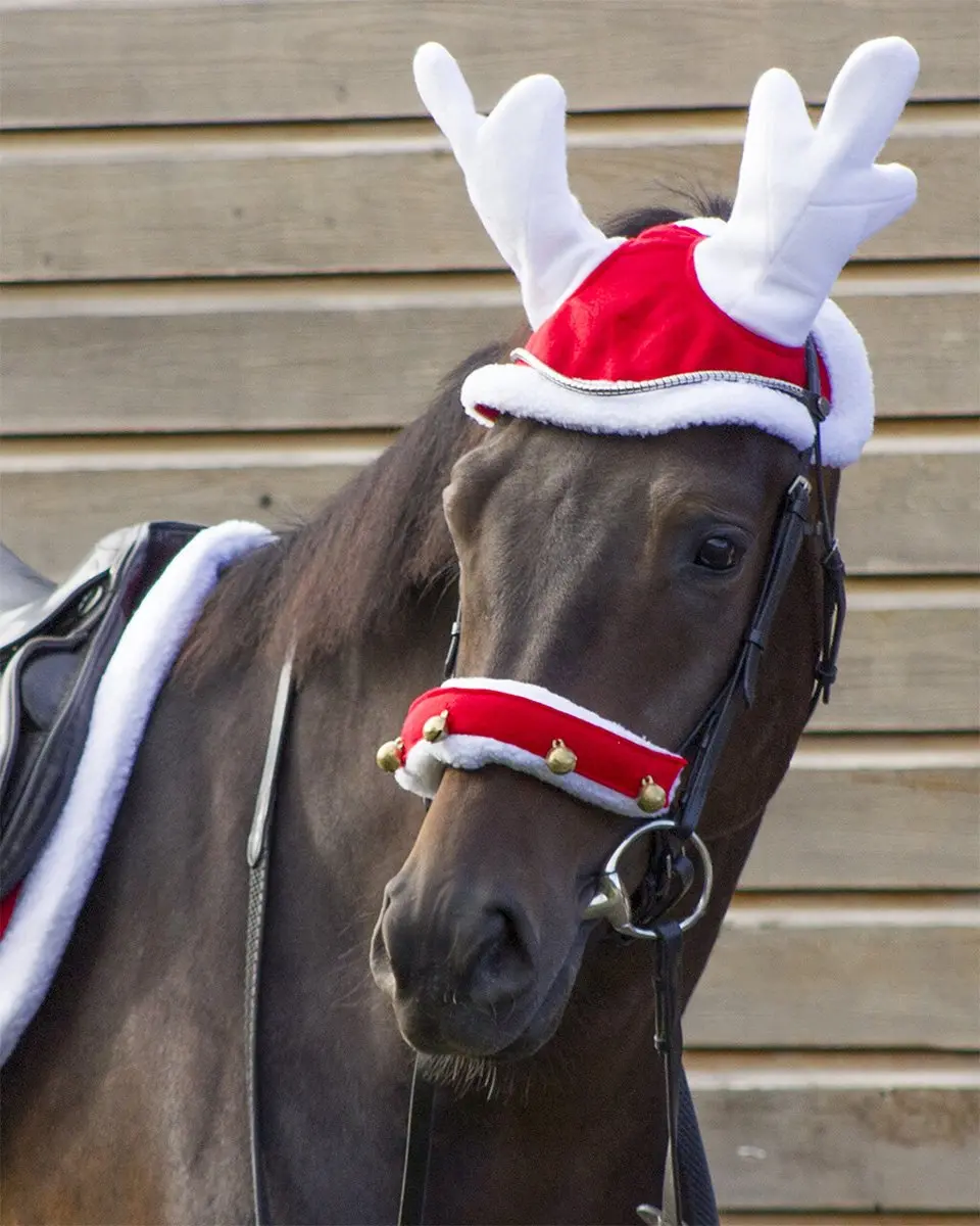 QHP Rendiermuts paarden - Rood/Wit - afbeelding 2 van 6