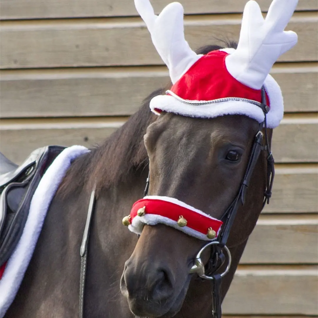QHP Rendiermuts paarden - Rood/Wit - afbeelding 5 van 6
