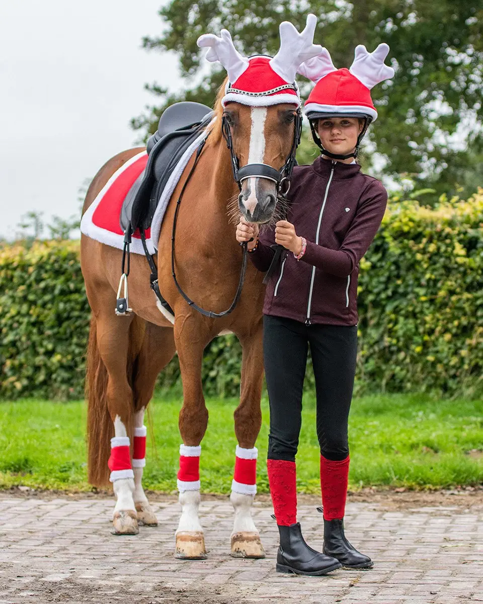 QHP Rendiermuts Paarden