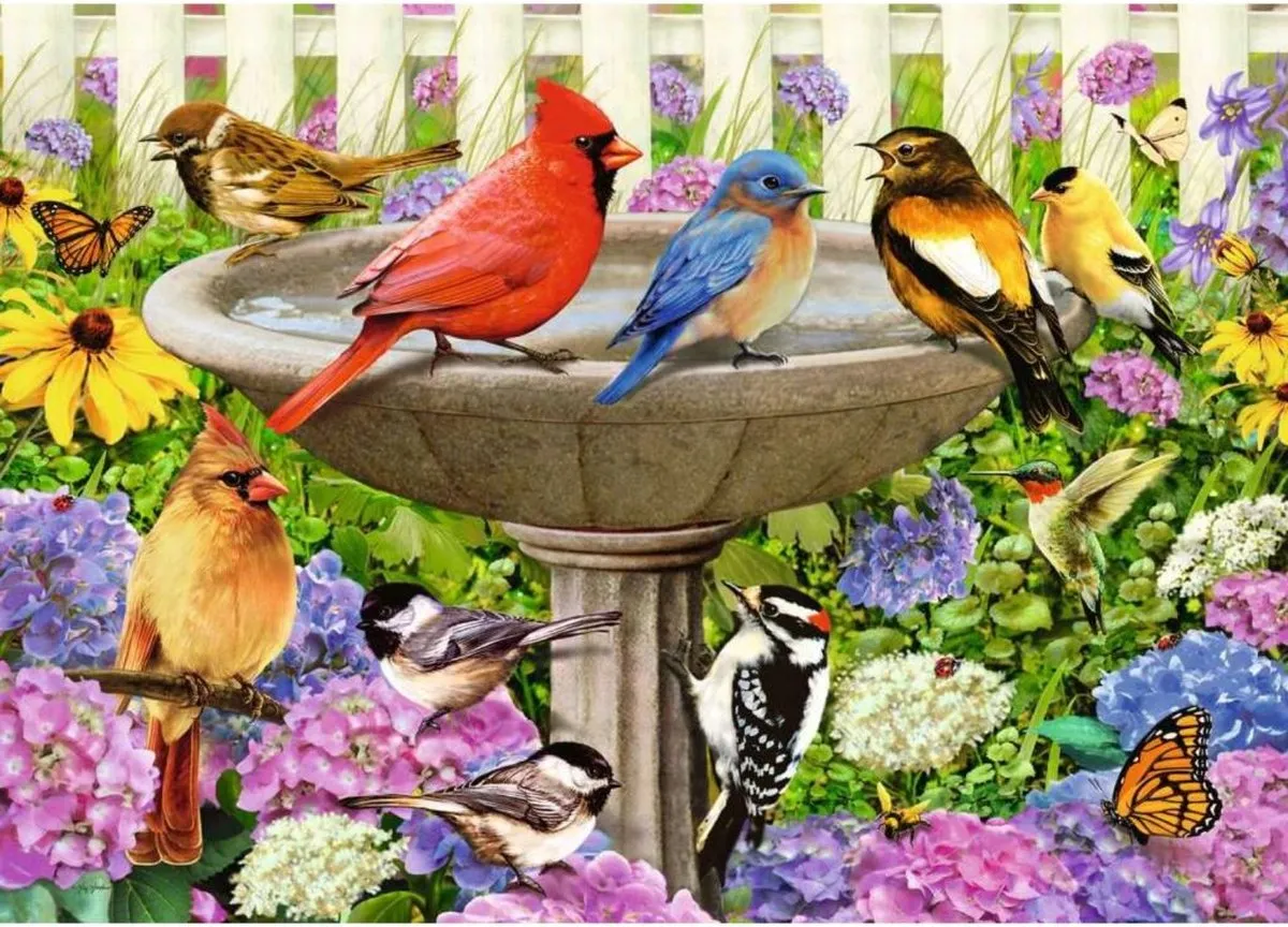 Ravensburger Bij het vogelbadje Legpuzzel 500 Stuks - 167937