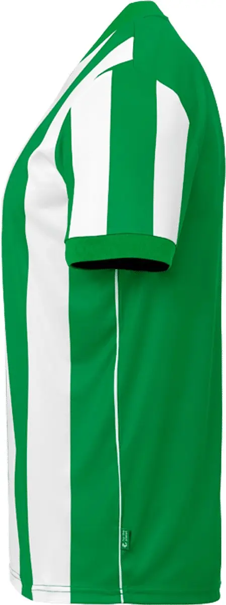 Uhlsport Stripe 2.0 Shirt Korte Mouw Kinderen 116 - Groen/Wit