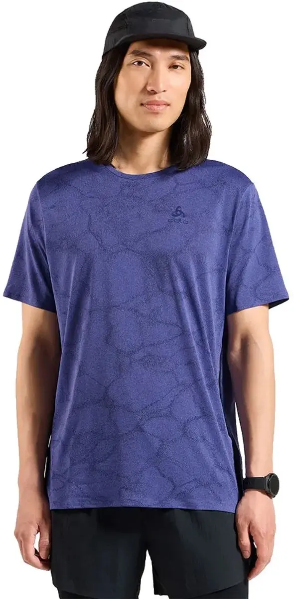 Odlo Zeroweight Engineered Chill-tec T-shirt Met Korte Mouwen Blauw L Man