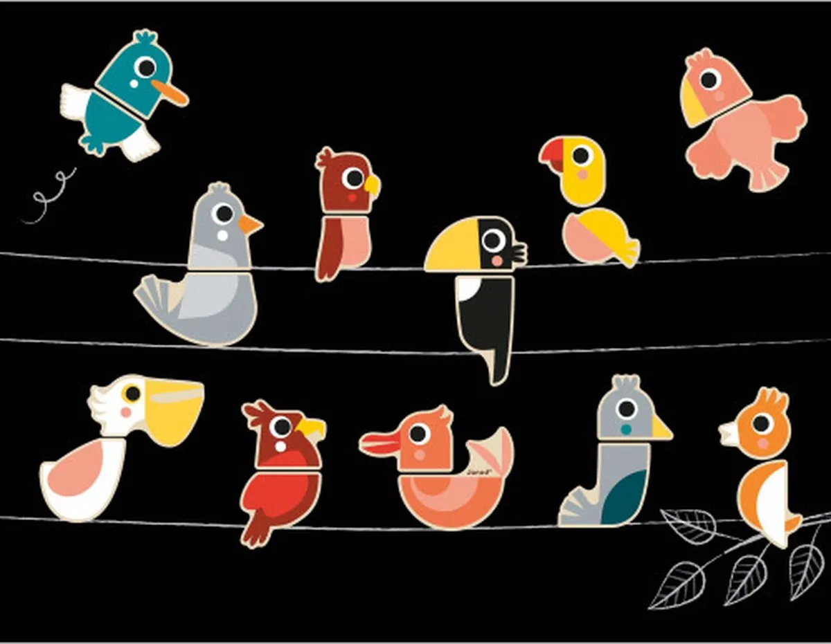 Janod Magneetset Mix & Match Vogels 24 Magneten - MPN 9643