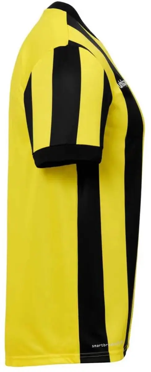 Uhlsport Stripe 2.0 Shirt Heren - Zwart - Maat L