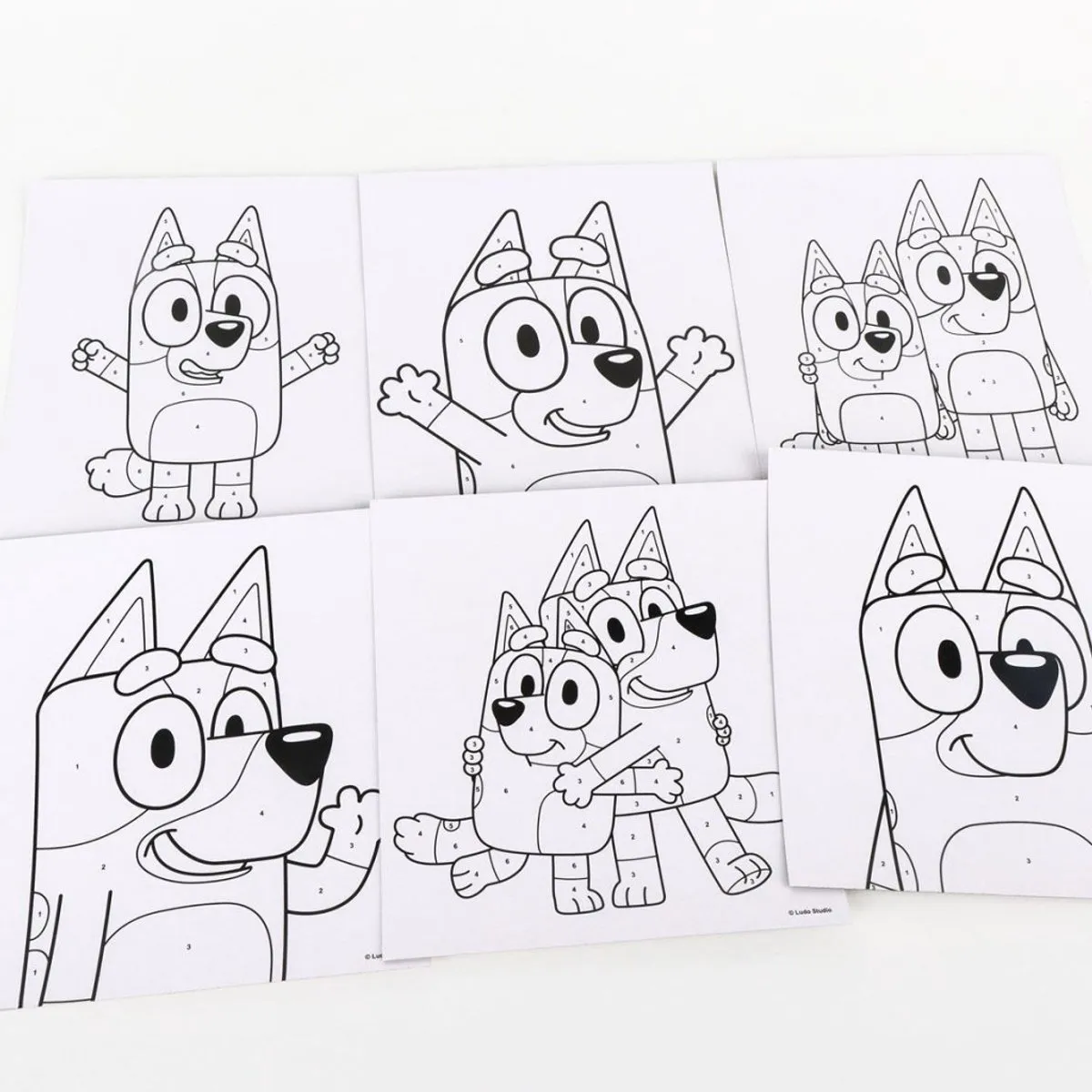 Disney Bluey Verf op Nummer Set - Creatief Knutselen