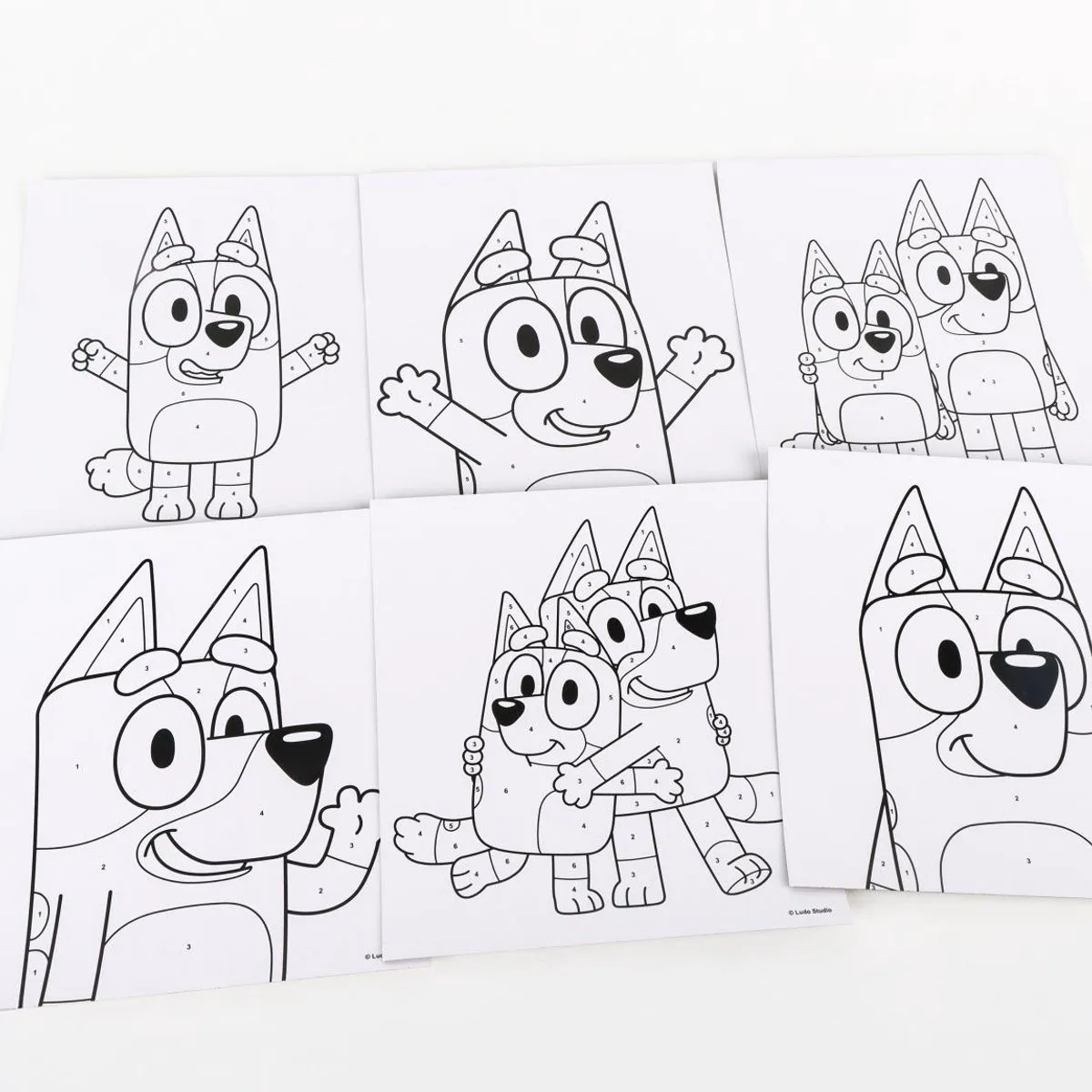 Disney Bluey Verf op Nummer Set - Creatief Knutselen