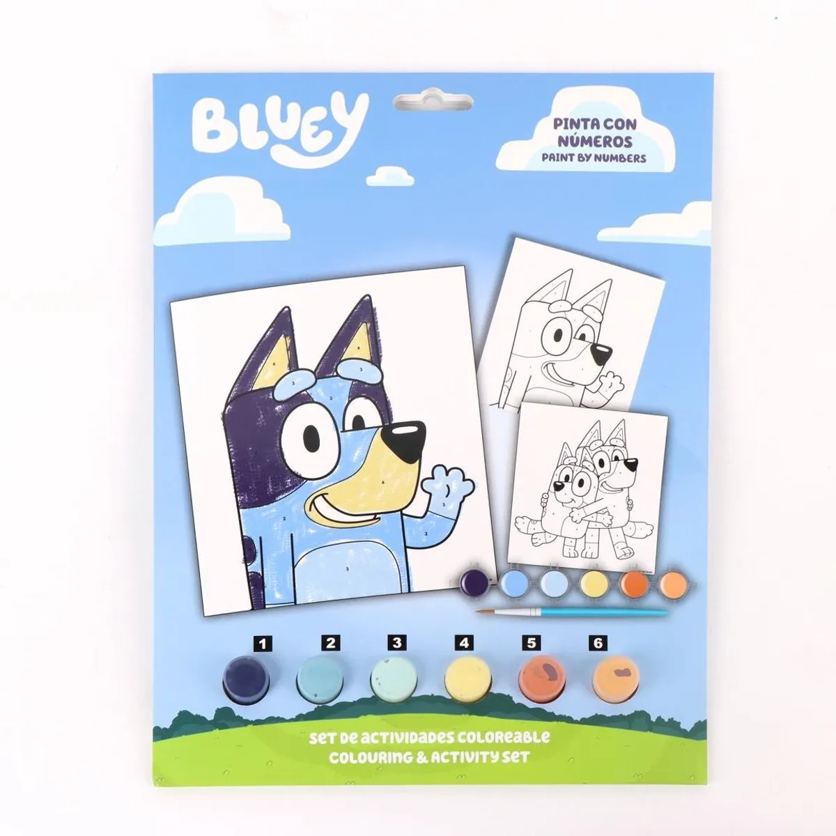 Disney Bluey Verf op Nummer Set