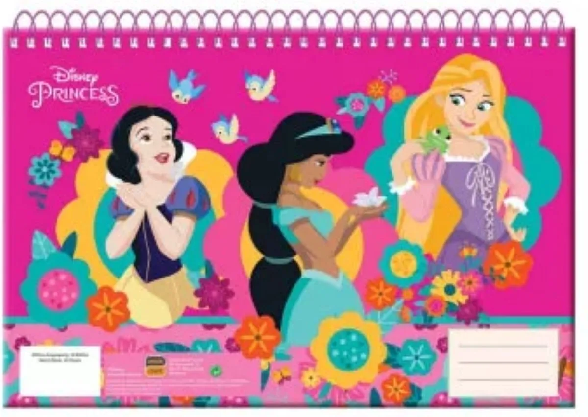 Disney Princess Schetsboek A4