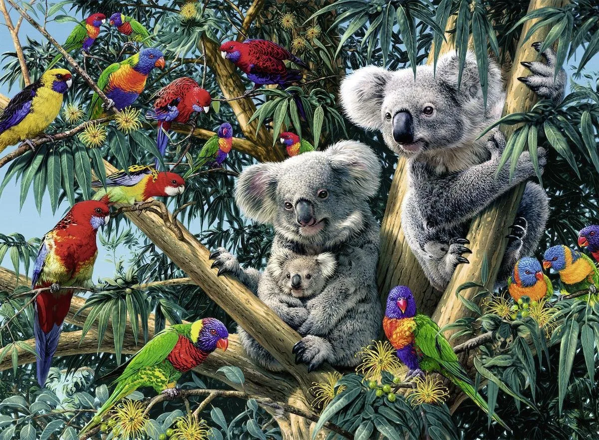 Ravensburger Koalas in de Boom Legpuzzel 500 Stuks - Multicolor
