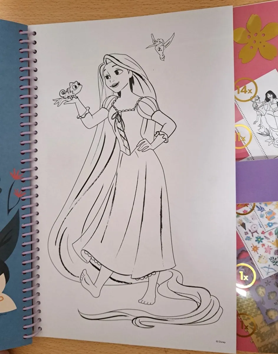 Disney Princess Designalbum - 29 Pagina's - Divers