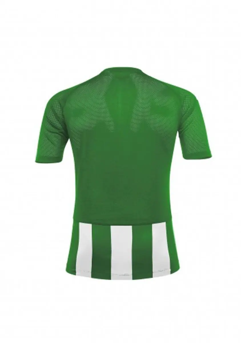 Acerbis Sports Johan Striped Jersey - Groen/Wit - 4XS