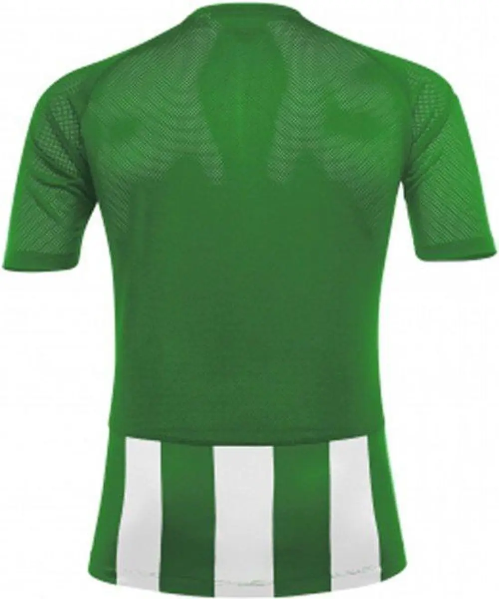 Acerbis Sports Johan Striped Jersey - XS - Groen/Wit