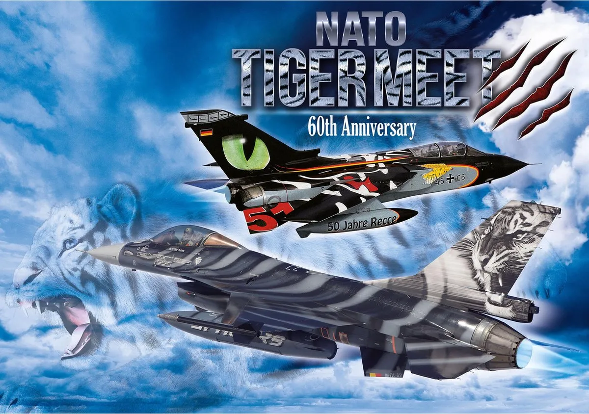 Revell 05671 NATO Tiger Meet Militaire Voertuigen Modelbouwpakket 1:72 - 231 Onderdelen - Multicolor