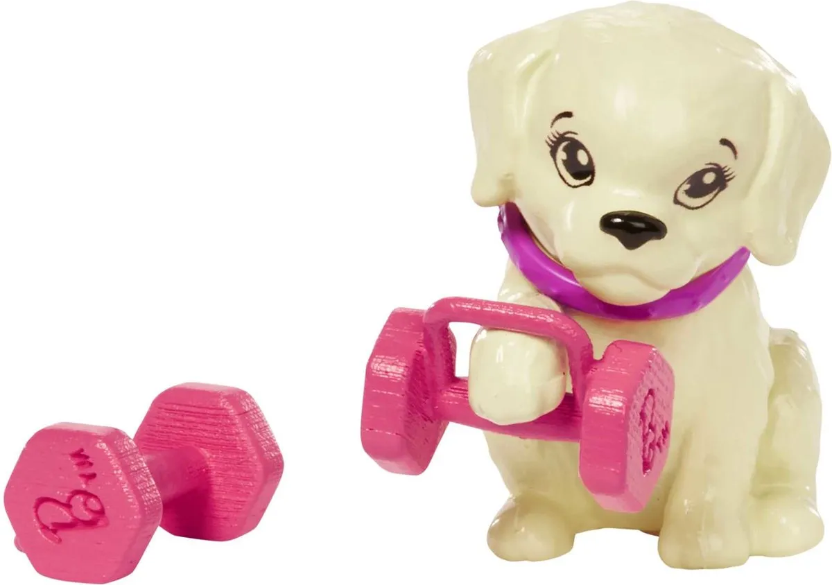 Barbie Outdoor Welzijnspop Roze