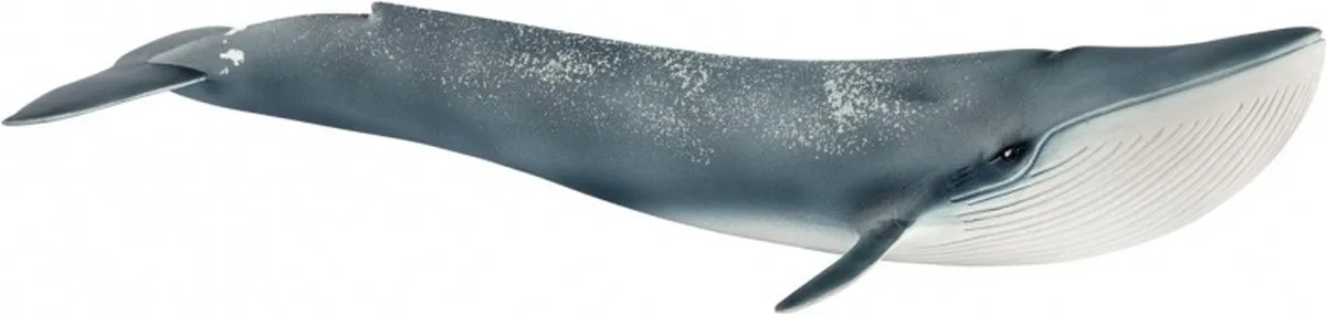 Schleich Blauwe Vinvis Speelfiguur 14806